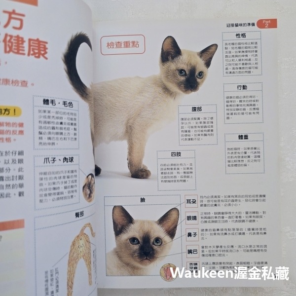 家有寶貝貓 愛貓的飼養調教指南 小島正記 漢欣出版社 美國短毛 波斯 緬因 曼赤肯 阿比西尼亞 埃及 園藝寵物-細節圖8