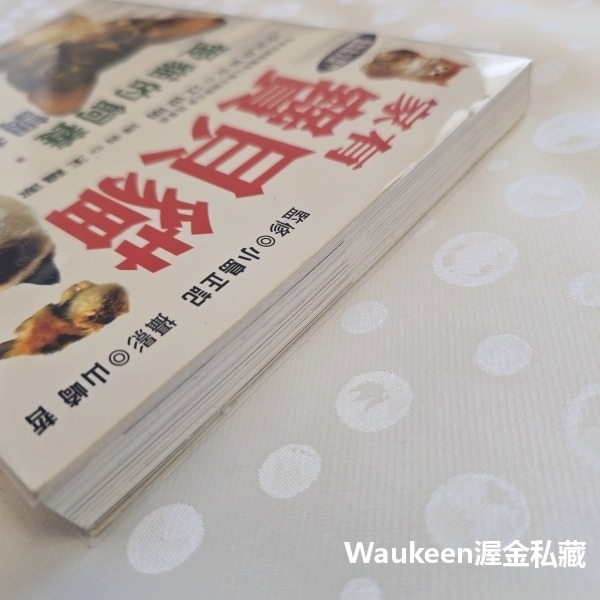 家有寶貝貓 愛貓的飼養調教指南 小島正記 漢欣出版社 美國短毛 波斯 緬因 曼赤肯 阿比西尼亞 埃及 園藝寵物-細節圖11