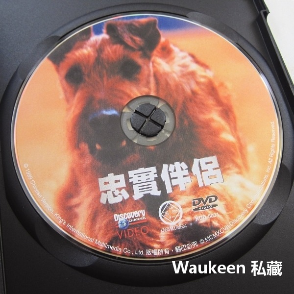 忠實伴侶 The Ultimate Guide Dogs 狗 獵犬 雪德蘭牧羊犬 哈士奇 狼 終極指南系列 探索頻道-細節圖2