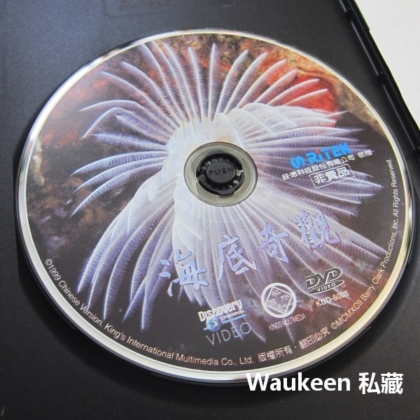 海底奇觀 Secrets of the Deep I 探索頻道 Discovery Channel 加勒比海 章魚 海葵-細節圖2