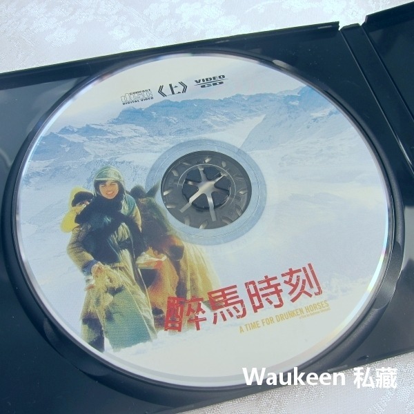 醉馬時刻 A Time For Drunken Horses 阿育阿瑪第 阿瑪內艾克提阿狄尼 伊朗 伊拉克 波斯 庫德族-細節圖2