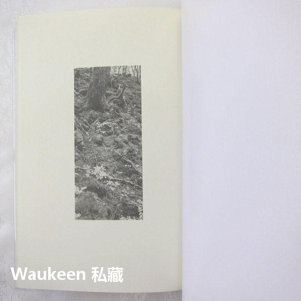 精裝GOTH斷掌事件 GOTH リストカット事件 夜の章 乙一 Otsuichi ZOO作者 角川書店 日文推理小說-細節圖4