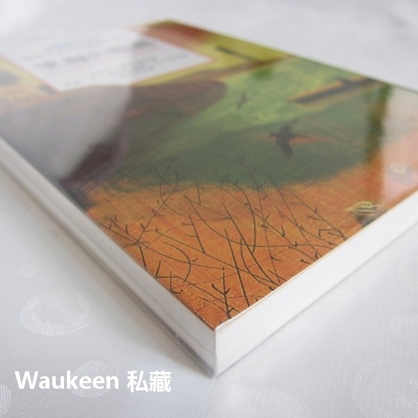 望海的眼睛 GLI OCCHI DEL MARE 安琪拉娜內提 Angela Nanetti 飛寶出版社 義大利兒童文學-細節圖2