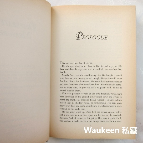 孤注一擲 Desperate Measures 芬恩米契爾 Fern Michaels 傾似彩雲作者 言情小說 羅曼史-細節圖5