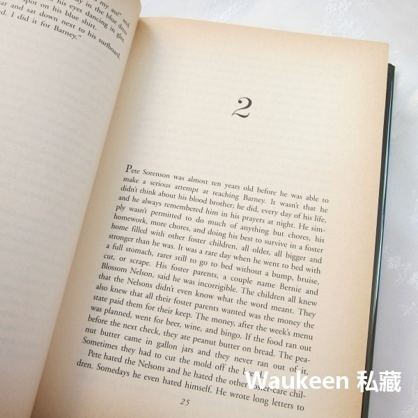 孤注一擲 Desperate Measures 芬恩米契爾 Fern Michaels 傾似彩雲作者 言情小說 羅曼史-細節圖7