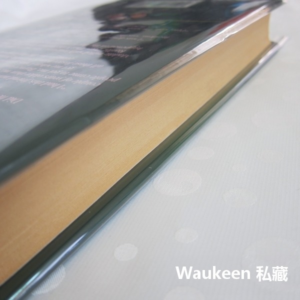 孤注一擲 Desperate Measures 芬恩米契爾 Fern Michaels 傾似彩雲作者 言情小說 羅曼史-細節圖9