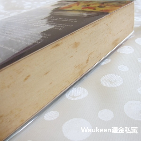 改寫歷史 Making History 史蒂芬弗雷 Stephen Fry 任憑擺佈的網球作者 科幻小說 希特勒-細節圖9