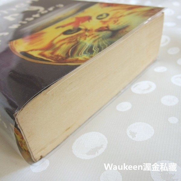 改寫歷史 Making History 史蒂芬弗雷 Stephen Fry 任憑擺佈的網球作者 科幻小說 希特勒-細節圖10