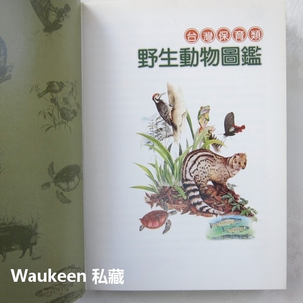 台灣保育類野生動物圖鑑 行政院農業委員會 特有生物研究保育中心 台灣黑熊 針鼴 鰮鯨 雲豹 林鵰 自然科學 科普教育-細節圖2
