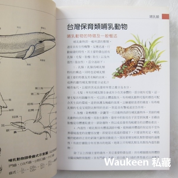 台灣保育類野生動物圖鑑 行政院農業委員會 特有生物研究保育中心 台灣黑熊 針鼴 鰮鯨 雲豹 林鵰 自然科學 科普教育-細節圖3