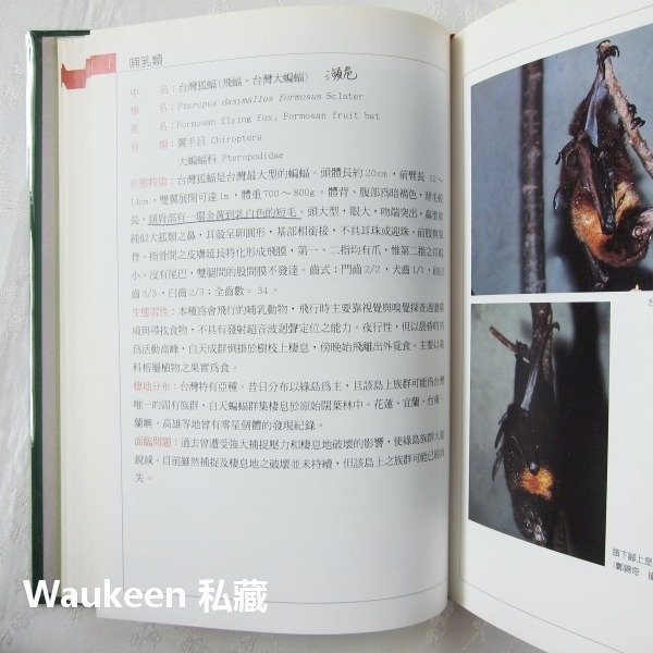 台灣保育類野生動物圖鑑 行政院農業委員會 特有生物研究保育中心 台灣黑熊 針鼴 鰮鯨 雲豹 林鵰 自然科學 科普教育-細節圖5