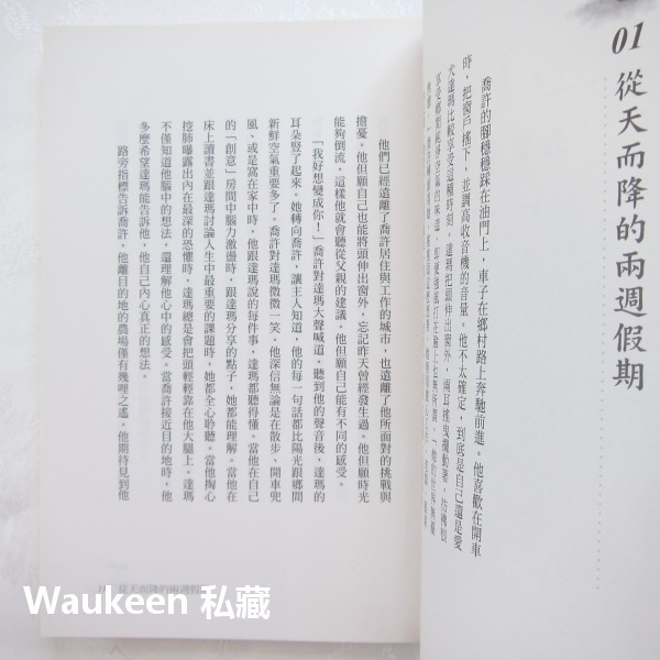 過你的第二人生 你要留在這裡還是往前走 The Seed 強高登 Jon Gordon 天下雜誌 職場工作 心理勵志-細節圖7