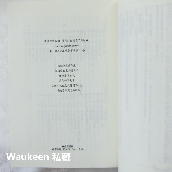 雙生石 Cutting for Stone 亞伯拉罕佛吉斯 Abraham Verghese 雙胞胎 皇冠出版社 歐美翻-細節圖6