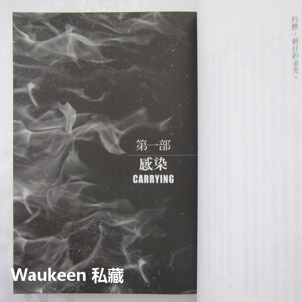 龍鱗焰火【全】The Fireman 喬希爾 Joe Hill 奇幻基地 史鐸克小說獎得主 軌跡獎年度最佳驚悚恐怖小說-細節圖6