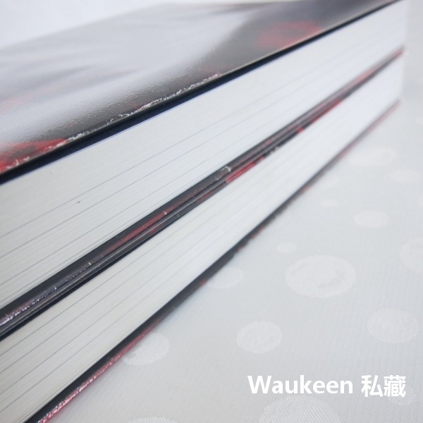 龍鱗焰火【全】The Fireman 喬希爾 Joe Hill 奇幻基地 史鐸克小說獎得主 軌跡獎年度最佳驚悚恐怖小說-細節圖10