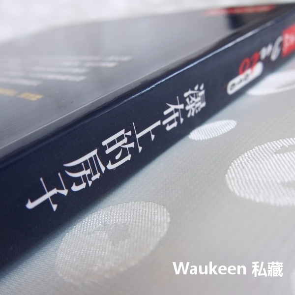 瀑布上的房子 追尋建築大師萊特的腳印 成寒 時報出版 Frank Lloyd Wright 芝加哥 羅比之家 自傳傳記-細節圖2