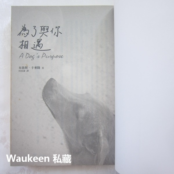 為了與你相遇電影封面版 A Dog＇s Purpose 布魯斯卡麥隆 Bruce Cameron 電影原著小說 圓神出版-細節圖2