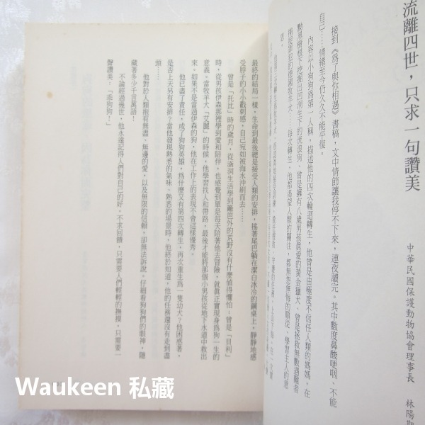 為了與你相遇電影封面版 A Dog＇s Purpose 布魯斯卡麥隆 Bruce Cameron 電影原著小說 圓神出版-細節圖3