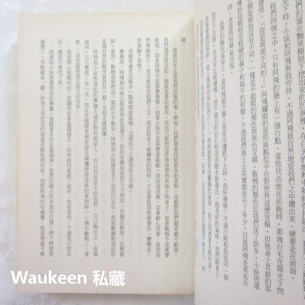 為了與你相遇電影封面版 A Dog＇s Purpose 布魯斯卡麥隆 Bruce Cameron 電影原著小說 圓神出版-細節圖7