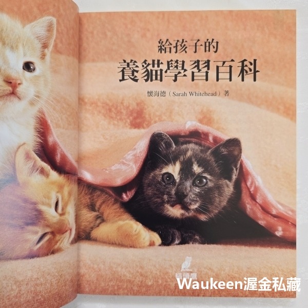 給孩子的養貓學習百科 Kitten Training for Kids 莎拉懷海德 Sarah Whitehead 貓頭-細節圖4