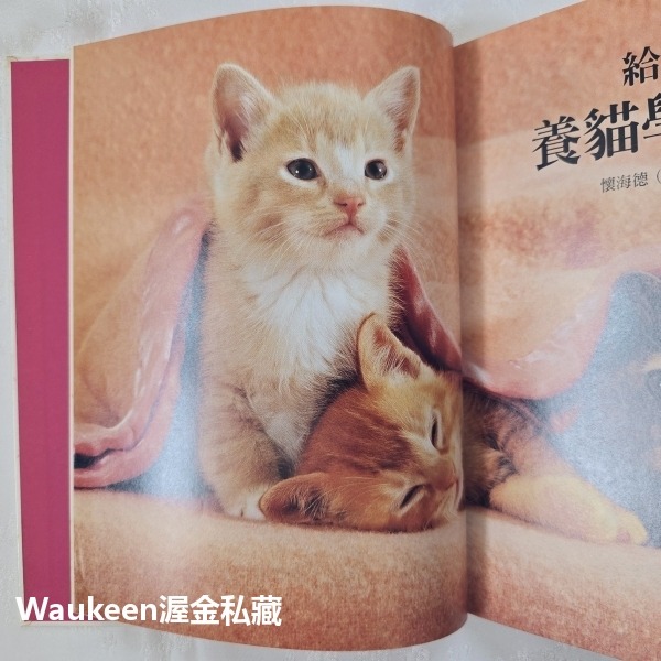 給孩子的養貓學習百科 Kitten Training for Kids 莎拉懷海德 Sarah Whitehead 貓頭-細節圖5
