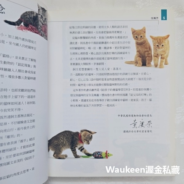 給孩子的養貓學習百科 Kitten Training for Kids 莎拉懷海德 Sarah Whitehead 貓頭-細節圖6