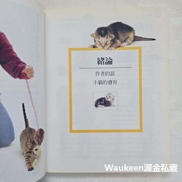 給孩子的養貓學習百科 Kitten Training for Kids 莎拉懷海德 Sarah Whitehead 貓頭-細節圖7