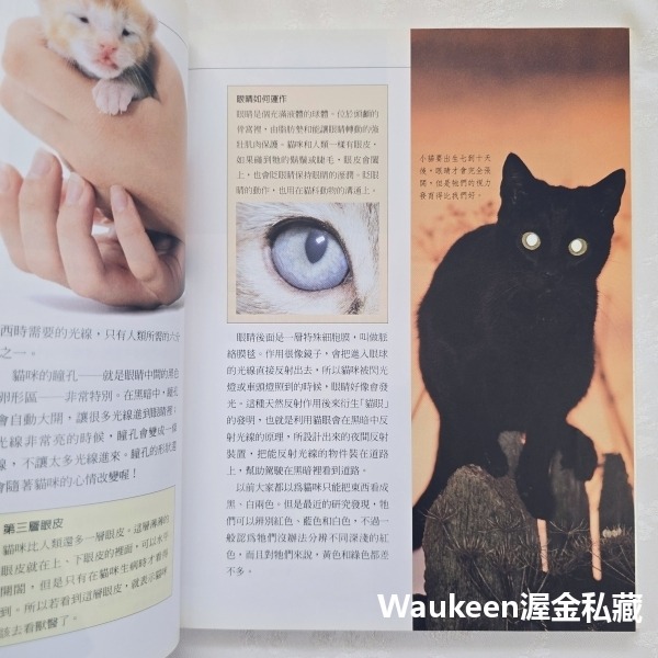 給孩子的養貓學習百科 Kitten Training for Kids 莎拉懷海德 Sarah Whitehead 貓頭-細節圖8