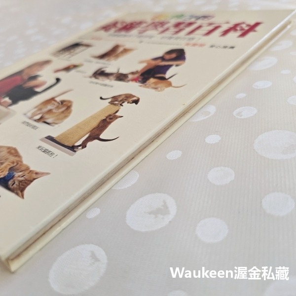 給孩子的養貓學習百科 Kitten Training for Kids 莎拉懷海德 Sarah Whitehead 貓頭-細節圖10