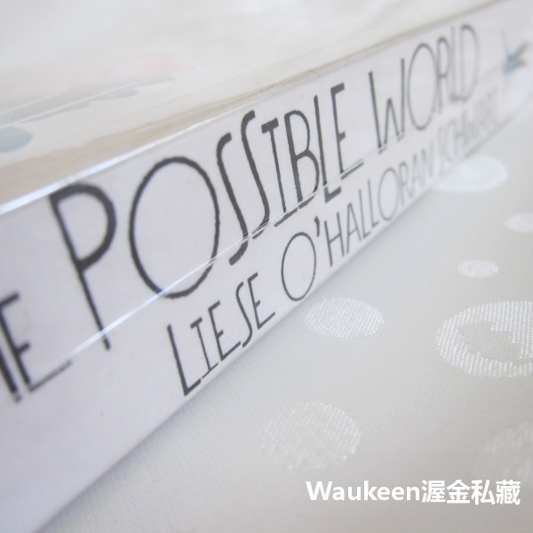 想望的世界 The Possible World 莉婕奧哈洛蘭史瓦茲 Liese O＇Halloran Schwarz-細節圖2