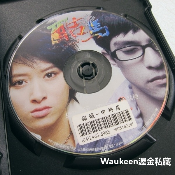 酷馬 黃遠 鄭靚歆 藍正龍 古名伸 慢跑 勵志 國產電影-細節圖2