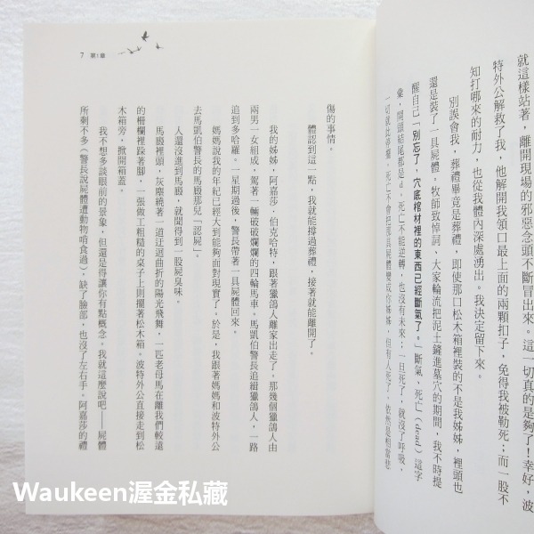 尋找阿嘉莎 One Came Home 艾米汀柏蕾 Amy Timerlake 小天下出版社 美國紐伯瑞文學獎銀獎 愛倫-細節圖6