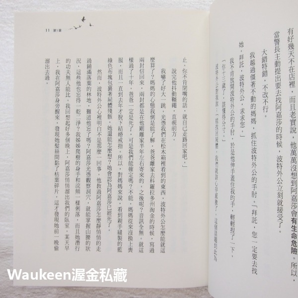 尋找阿嘉莎 One Came Home 艾米汀柏蕾 Amy Timerlake 小天下出版社 美國紐伯瑞文學獎銀獎 愛倫-細節圖8