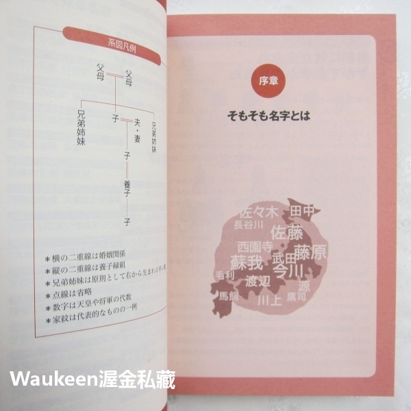 姓名追溯日本名門 名字でたどる日本の名家 日本史の裏側が見えてくる 森岡浩 Hiroshi Morioka 岩崎 德川-細節圖6