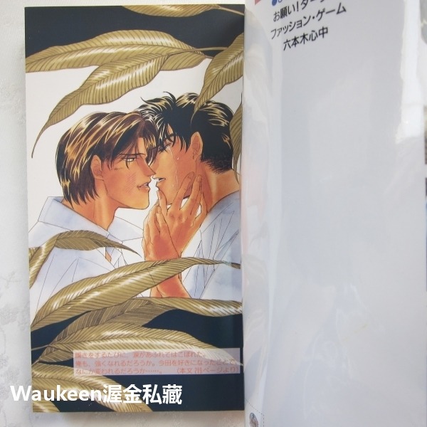 拜託啦 親愛的 2 お願い！ダーリン BL ひちわゆか Hichiwa Yuka ビーボーイノベルズ 青磁ビブロス 變身-細節圖3