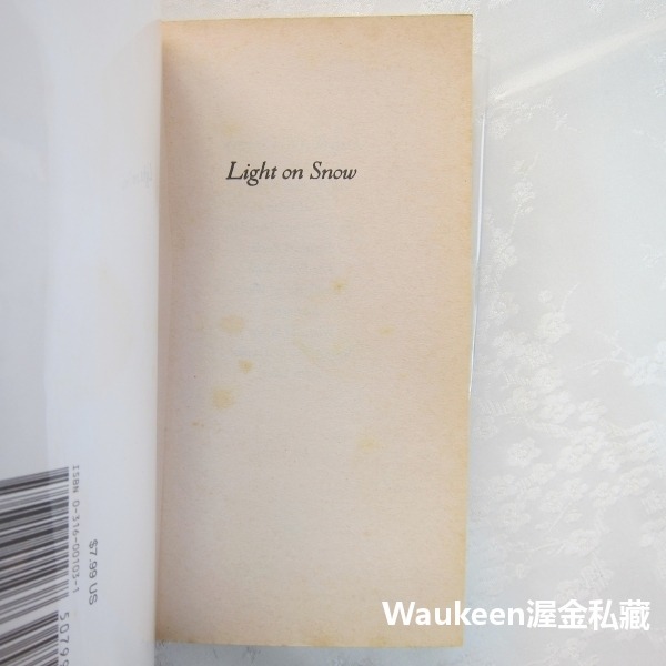 光鑑瑞雪 Light On Snow 艾妮塔雪瑞佛 Anita Shreve 飛行員之妻作者 當代小說-細節圖2