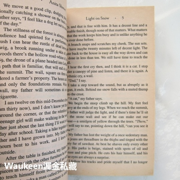 光鑑瑞雪 Light On Snow 艾妮塔雪瑞佛 Anita Shreve 飛行員之妻作者 當代小說-細節圖7