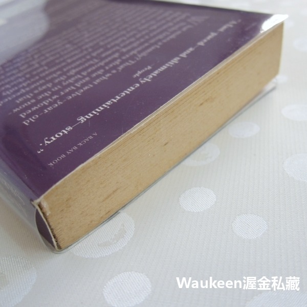 光鑑瑞雪 Light On Snow 艾妮塔雪瑞佛 Anita Shreve 飛行員之妻作者 當代小說-細節圖9