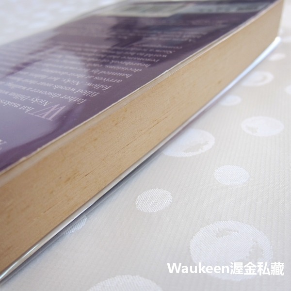 光鑑瑞雪 Light On Snow 艾妮塔雪瑞佛 Anita Shreve 飛行員之妻作者 當代小說-細節圖10