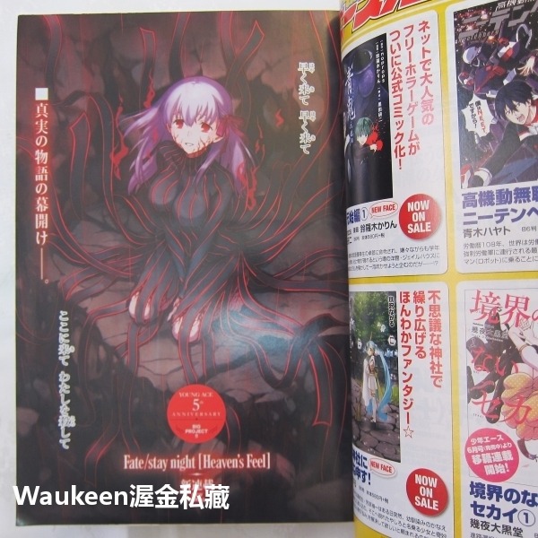 Young Ace ヤングエース 2015年6月號 武內崇 長門有希 命運停駐之夜 預示之花 Fate/stay nig-細節圖8