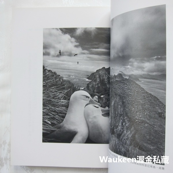 重回大地限量電影版書衣 薩爾卡多 Sebastião Salgado 馮克 Isabelle Francq 木馬文化 攝-細節圖8