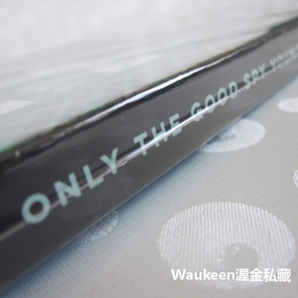 人不偵察枉少年 Only the Good Spy Young 艾莉卡特 Ally Carter 神偷少女作者 青少年推-細節圖2