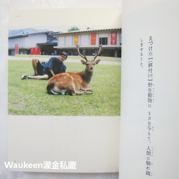 梅佳代攝影集 梅版 新明解國語辭典うめ版 新明解国語辞典 Kayo Ume 三省堂 日文攝影寫真-細節圖8