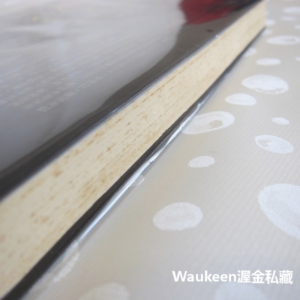 喀布爾美容學校 Kabul Beauty School 黛博拉羅瑞葵 Deborah Rodriguez 阿富汗人道救援-細節圖10