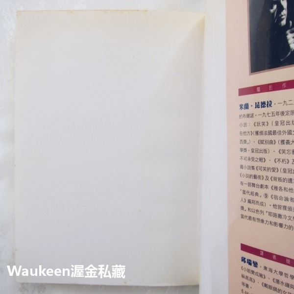 身分 L＇Identité Identity 米蘭昆德拉 Milan Kundera 簾幕作者 皇冠出版社 當代小說 捷-細節圖2