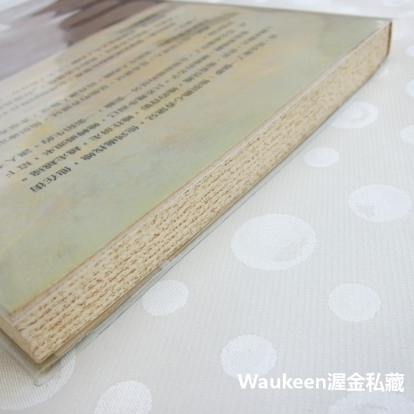 身分 L＇Identité Identity 米蘭昆德拉 Milan Kundera 簾幕作者 皇冠出版社 當代小說 捷-細節圖9