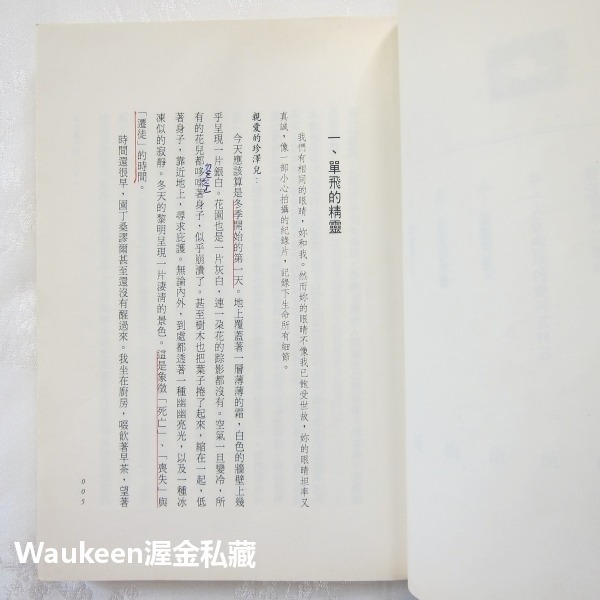 辛巴威之歌 Zenzele A Letter for My Daughter 諾姬波瑪萊兒 Nozipo Maraire-細節圖5