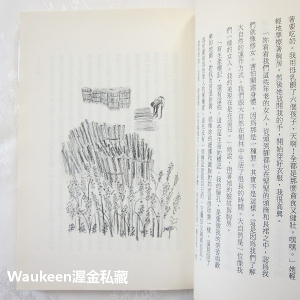 辛巴威之歌 Zenzele A Letter for My Daughter 諾姬波瑪萊兒 Nozipo Maraire-細節圖8