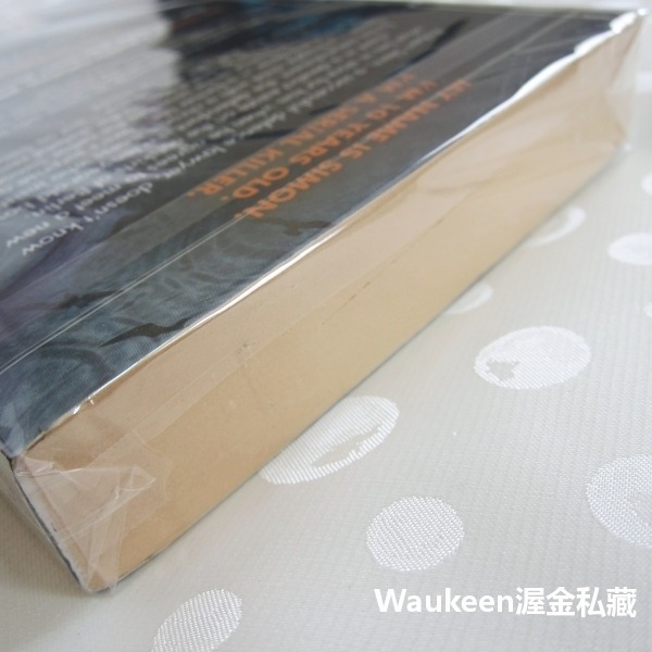 孩子 The Child 瑟巴斯提昂費策克 Sebastian Fitzek 病人作者 催眠 前世今生 轉世投胎 恐怖小-細節圖3