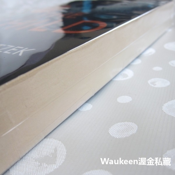 孩子 The Child 瑟巴斯提昂費策克 Sebastian Fitzek 病人作者 催眠 前世今生 轉世投胎 恐怖小-細節圖4